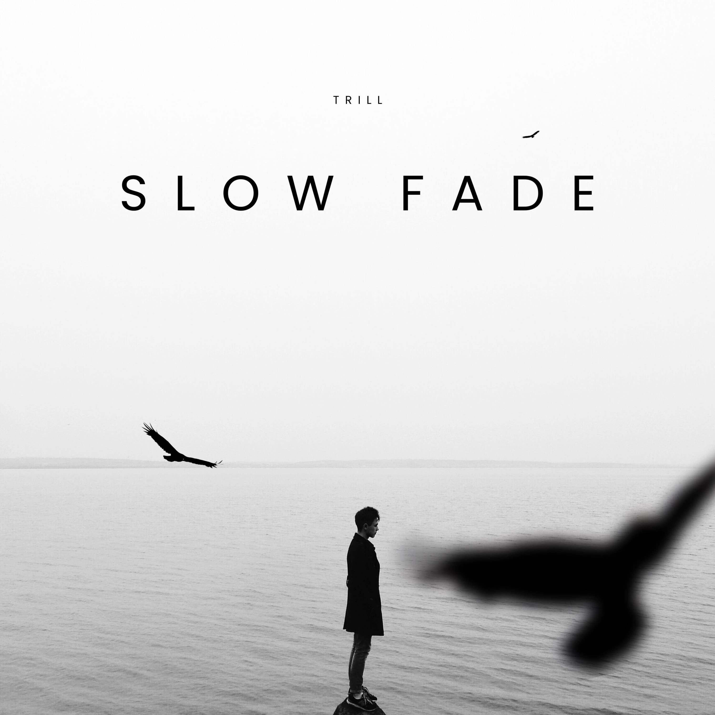 slow fade artwork