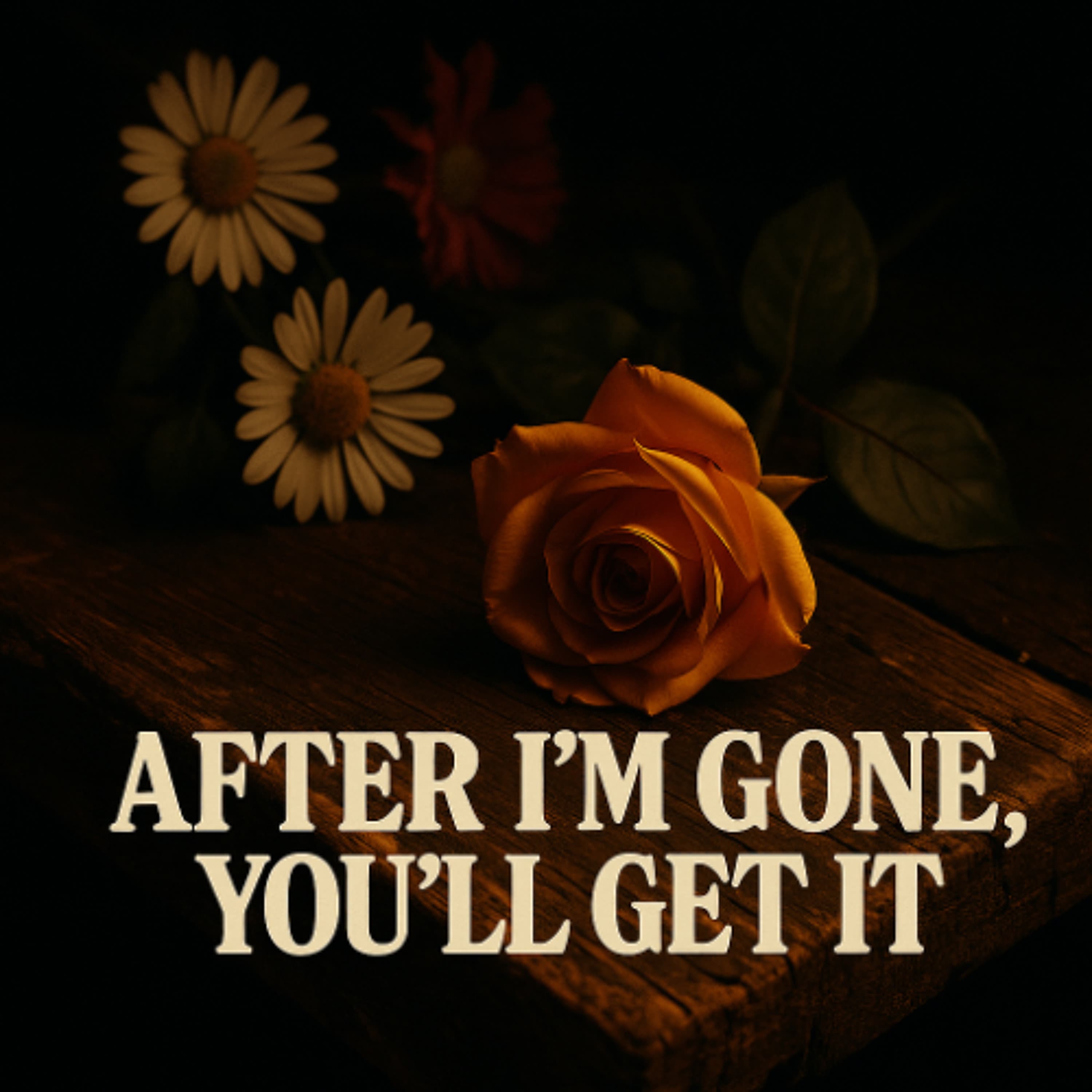 After I'm Gone You'll Get It artwork