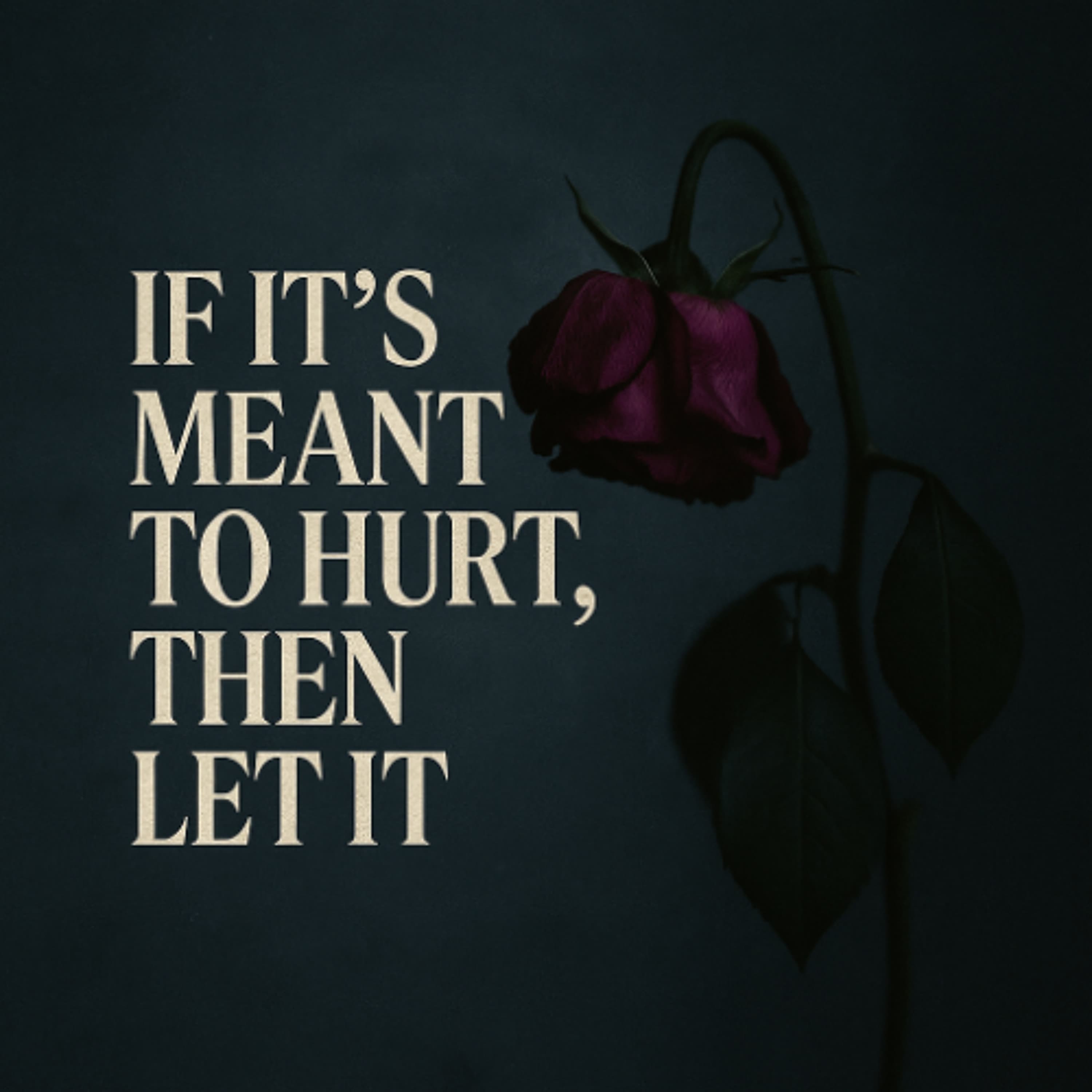 IF ITS MEANT TO HURT THEN LET IT artwork