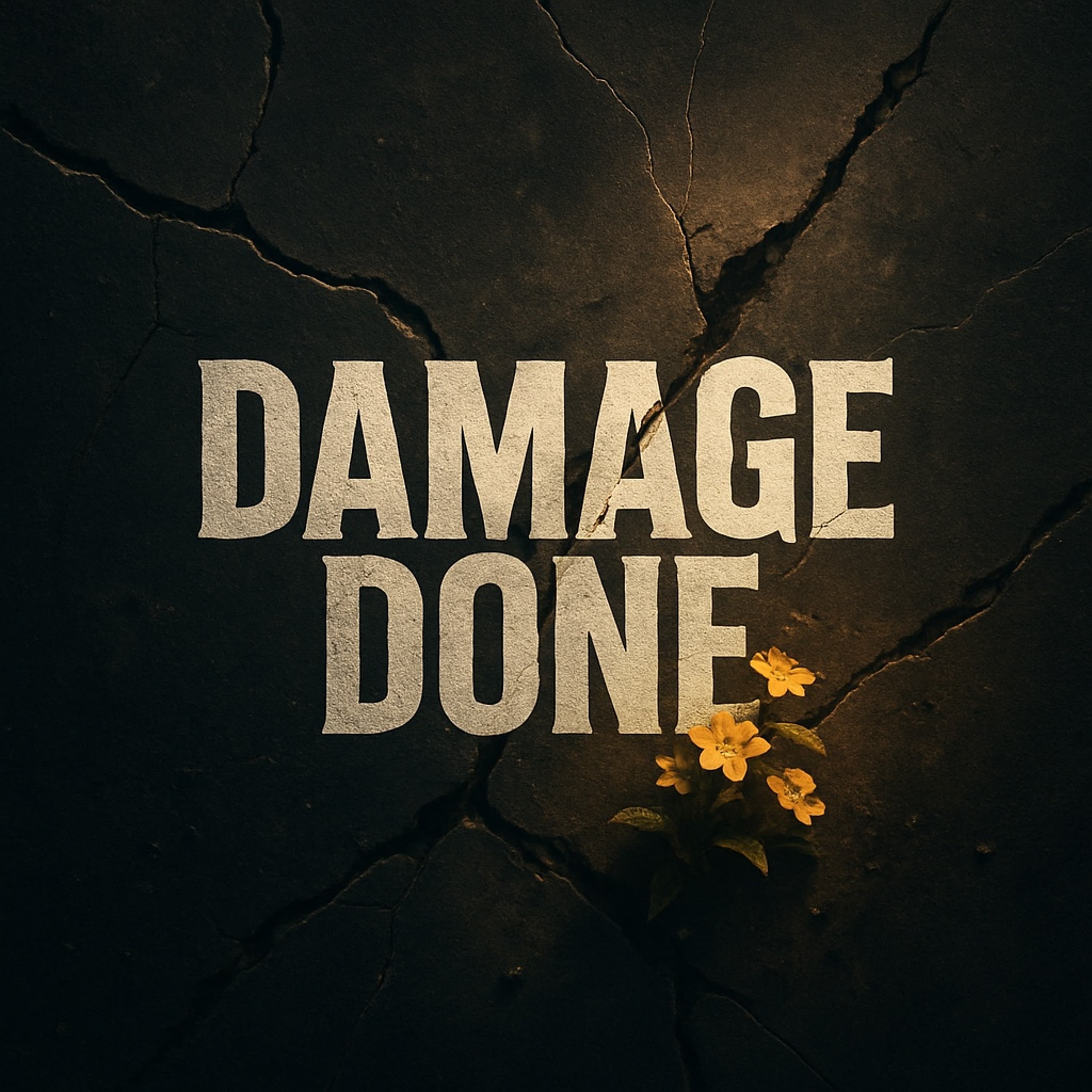 Damage Done artwork